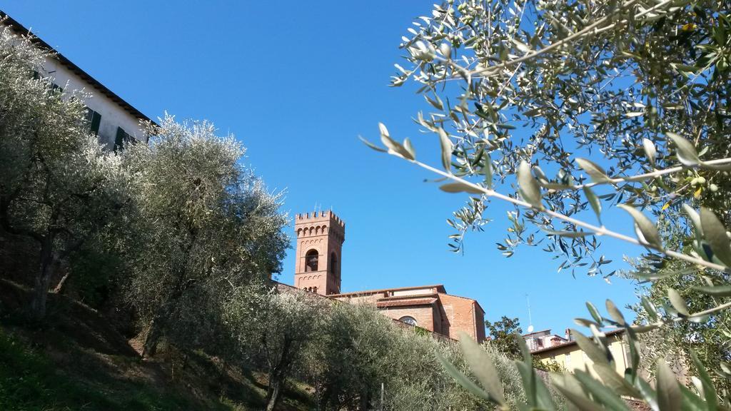 몬테카를로 Antica Casa Dei Rassicurati B&B 외부 사진